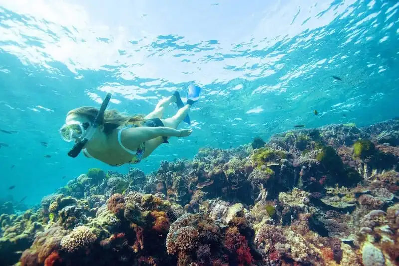 Khám phá thiên nhiên kỳ thú ở New South Wales, Úc 6 wanderlust-tip-3-cach-ly-tuong-trai-nghiem-thien-nhien-New-South-Wales4