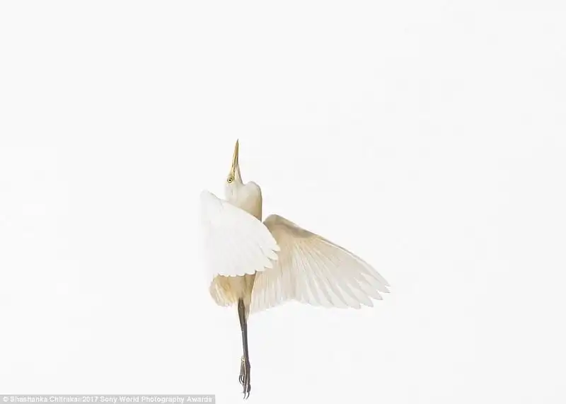 wanderlust-tip-chiem-nguong-nhung-buc-anh-xuat-sac-nhat-tu-cuoc-thi-nhiep-anh-sony-award-2017-21