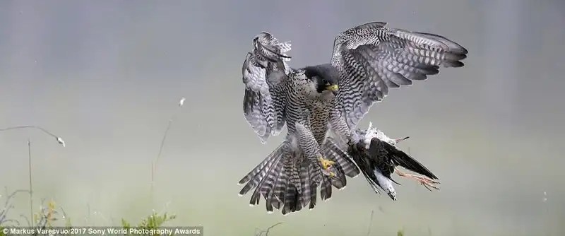 wanderlust-tip-chiem-nguong-nhung-buc-anh-xuat-sac-nhat-tu-cuoc-thi-nhiep-anh-sony-award-2017-22