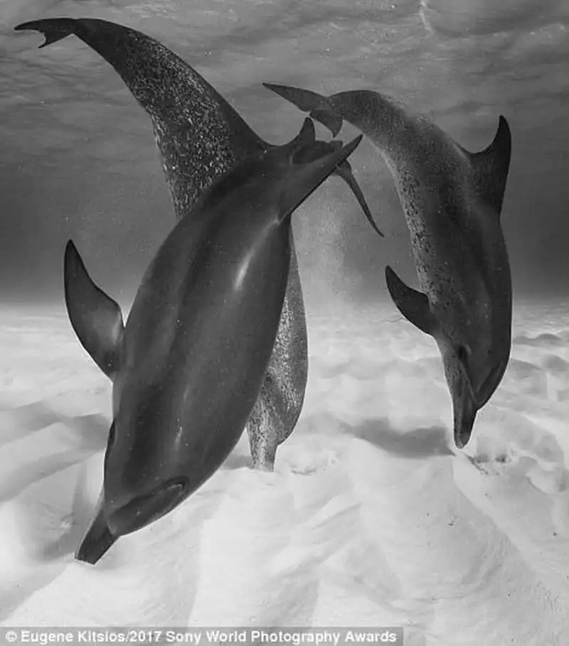 wanderlust-tip-choang-ngop-truoc-chum-anh-tuyet-dep-ve-thien-nhien-hoang-da-17