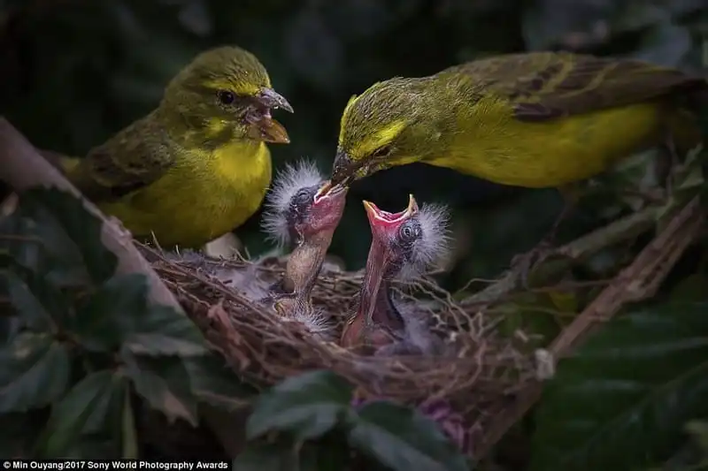 wanderlust-tip-choang-ngop-truoc-chum-anh-tuyet-dep-ve-thien-nhien-hoang-da-19