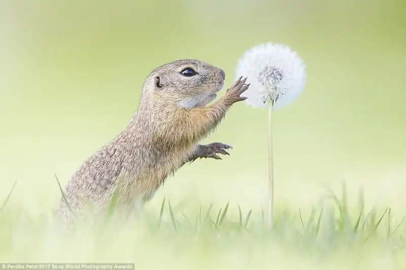 wanderlust-tip-choang-ngop-truoc-chum-anh-tuyet-dep-ve-thien-nhien-hoang-da-3