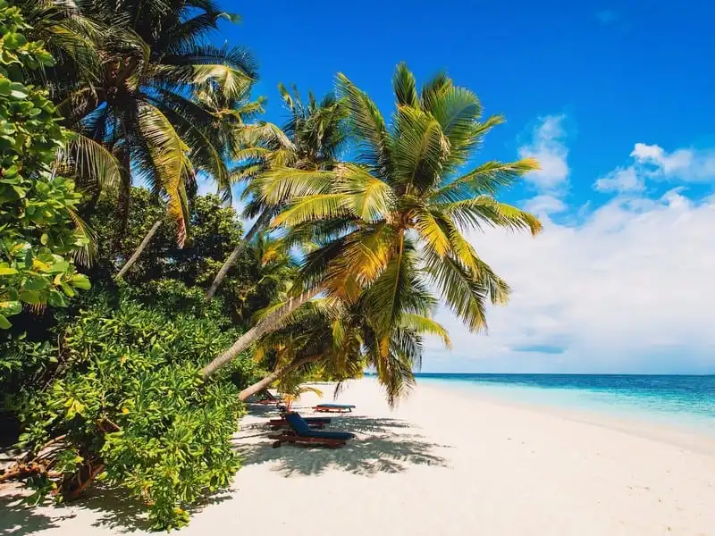 Công ty tuyển người đi du lịch xa xỉ với mức lương 10.000USD/tháng 5 wanderlust-tip-cong-ty-tuyen-nguoi-di-du-lich-xa-xi-voi-muc-luong-10000usd-thang-1