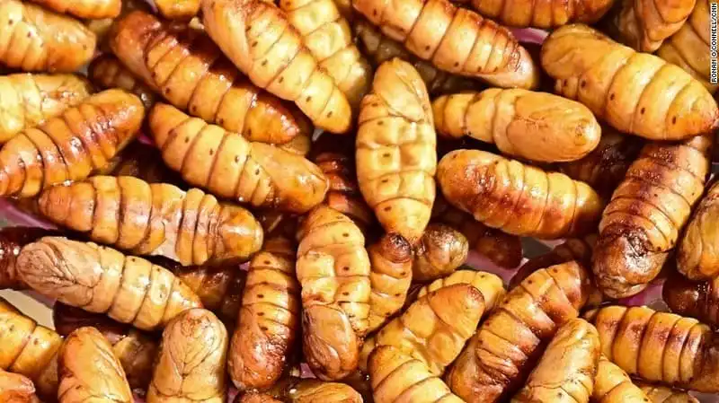 wanderlust-tip-nhen-doc-dac-san-campuchia-kinh-di-nhung-hut-khach-4