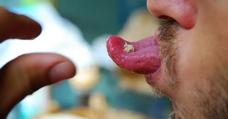 wanderlust-tip-pho-mat-thoi-day-gioi-mon-dac-san-kinh-di-cua-nguoi-italy-2