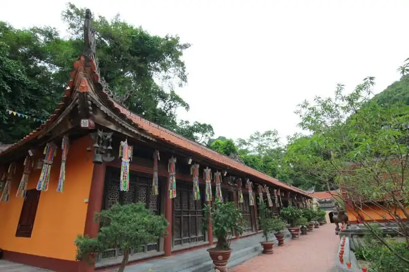 wanderlust-tips-biet-chien-nam-thien-giua-nui-rung-huong-son-16