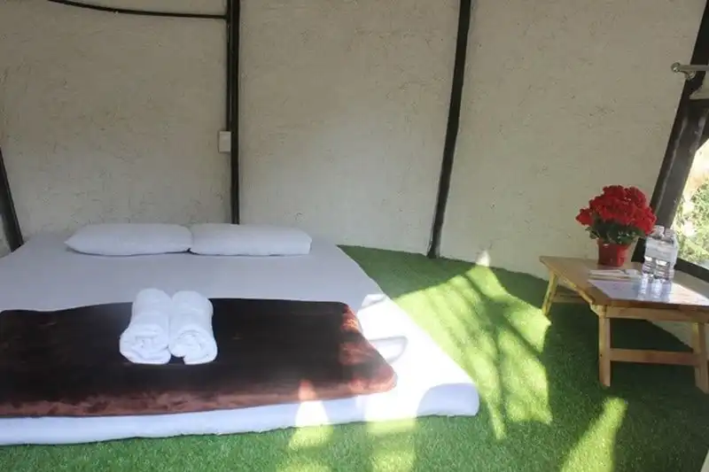 wanderlust-tips-doc-dao-homestay-hinh-thung-ruou-o-da-lat-4