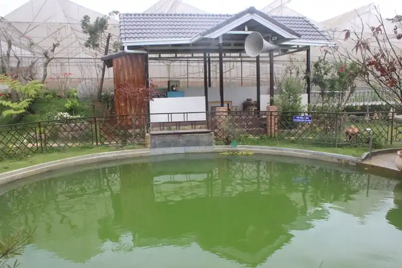 wanderlust-tips-doc-dao-homestay-hinh-thung-ruou-o-da-lat-5