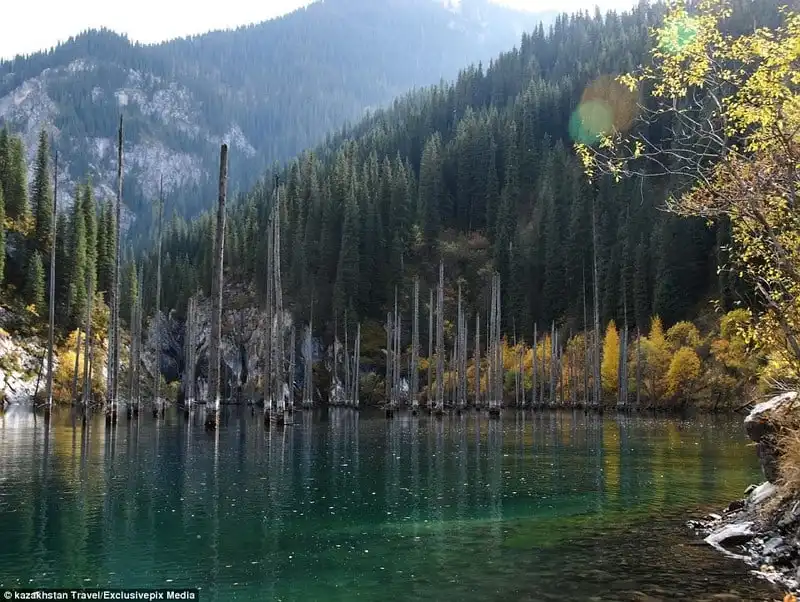 wanderlust-tips-hinh-anh-tuyet-dep-ve-khu-rung-chim-duoi-ho-nuoc-xanh-mau-ngoc11