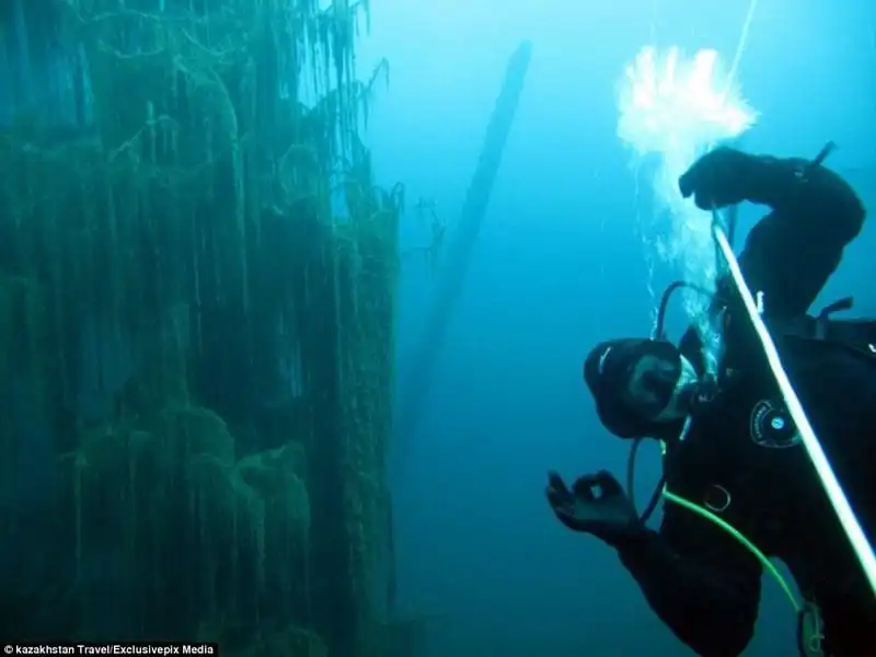 wanderlust-tips-hinh-anh-tuyet-dep-ve-khu-rung-chim-duoi-ho-nuoc-xanh-mau-ngoc12