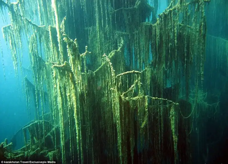 wanderlust-tips-hinh-anh-tuyet-dep-ve-khu-rung-chim-duoi-ho-nuoc-xanh-mau-ngoc13