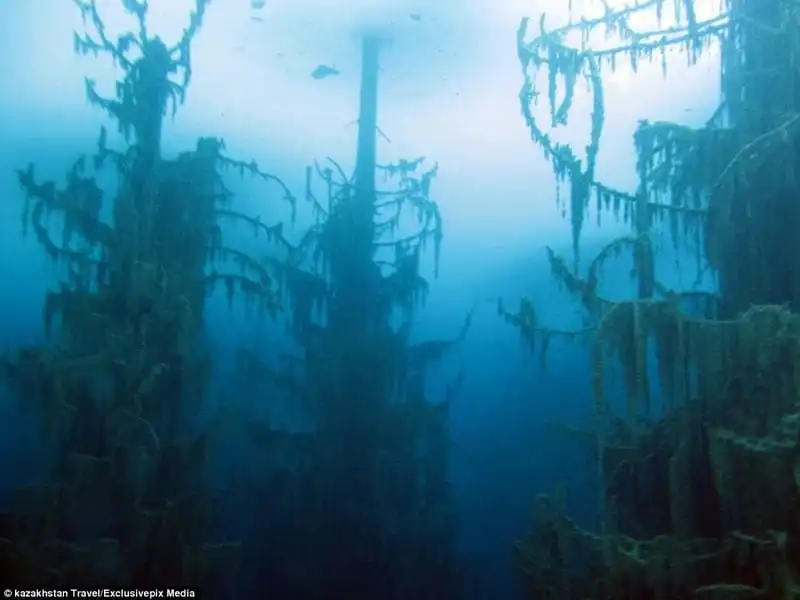 wanderlust-tips-hinh-anh-tuyet-dep-ve-khu-rung-chim-duoi-ho-nuoc-xanh-mau-ngoc4