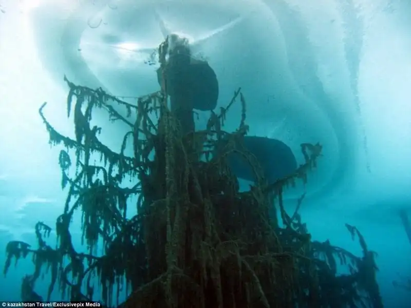 wanderlust-tips-hinh-anh-tuyet-dep-ve-khu-rung-chim-duoi-ho-nuoc-xanh-mau-ngoc6