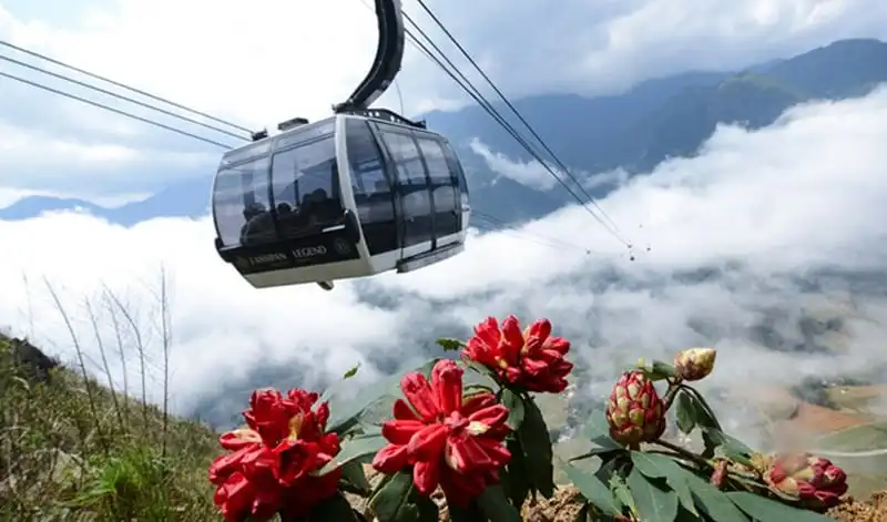 wanderlust-tips-thang-4-cho-don-le-hoi-hoa-do-quyen-lan-dau-tien-tai-sa-pa-1