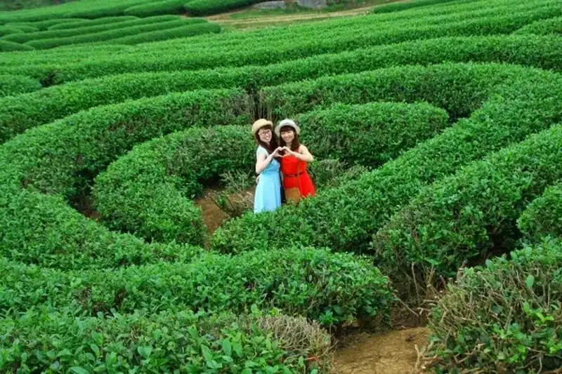 Trải nghiệm Mộc Châu những ngày tháng 2 8 wanderlust-tips-trai-nghiem-moc-chau-nhung-ngay-thang-2-4