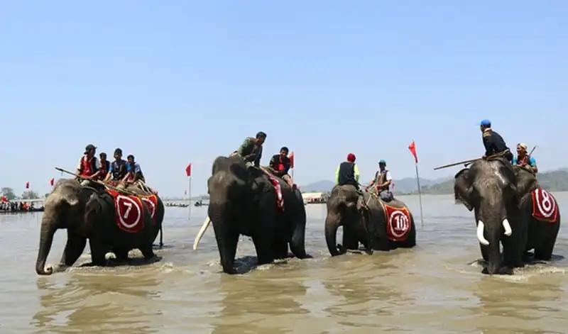 Tưng bừng lễ hội đua voi và thuyền độc mộc ở Đắk Lắk 7 wanderlust-tips-tung-bung-le-hoi-dua-voi-va-thuyen-doc-moc-o-dak-lak-3