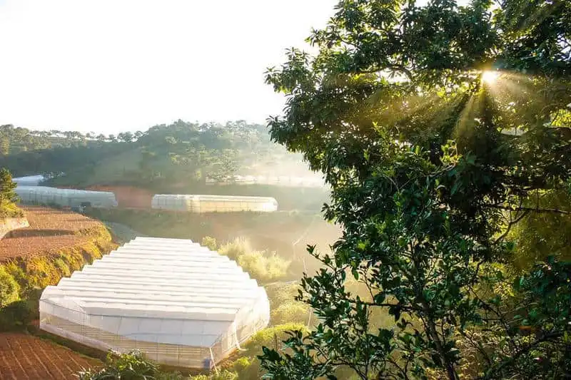 8 điểm vui chơi thú vị buổi tối ở Đà Lạt 7 Wanderlust-tips-8-diem-nen-tham-quan-o-da-lat-11