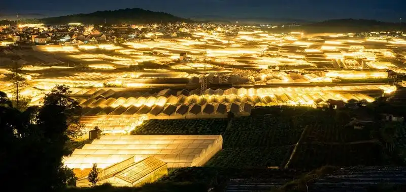 8 điểm vui chơi thú vị buổi tối ở Đà Lạt 8 Wanderlust-tips-8-diem-nen-tham-quan-o-da-lat-12