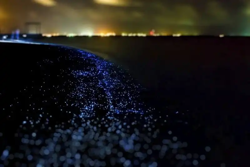 wanderlust-tip-15-trai-nghiem-du-lich-ai-cung-nen-thu-it-nhat-mot-lan-trong-doi-8