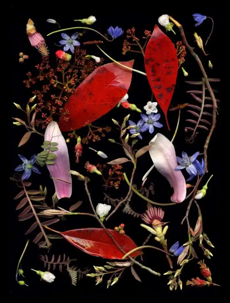 wanderlust-tip-anh-chup-mam-dau-lot-top-anh-dep-nhat-viet-nam-tai-sony-award-2017-15