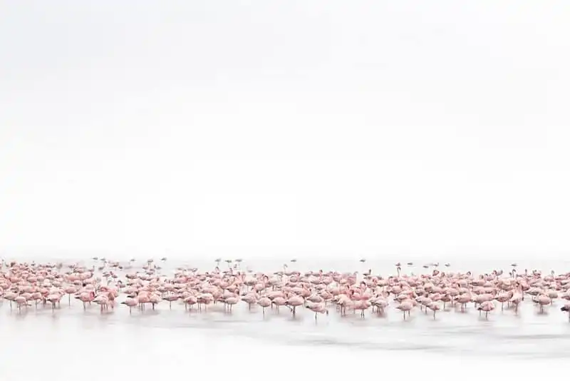 wanderlust-tip-anh-chup-mam-dau-lot-top-anh-dep-nhat-viet-nam-tai-sony-award-2017-3