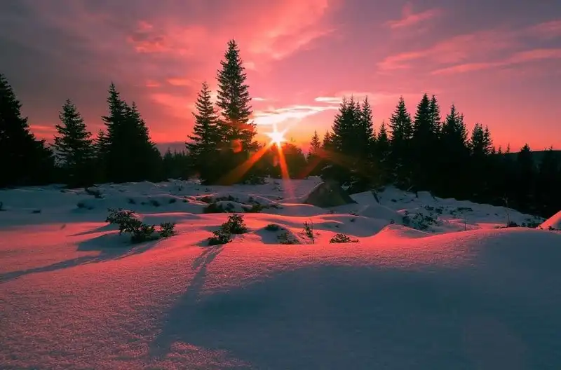 Thiên nhiên hoang dã đầy ấn tượng ở xứ sở hoa hồng Bulgaria 8 wanderlust-tip-chum-anh-thien-nhien-hoang-da-vo-cung-an-tuong-o-xu-hoa-hong-4