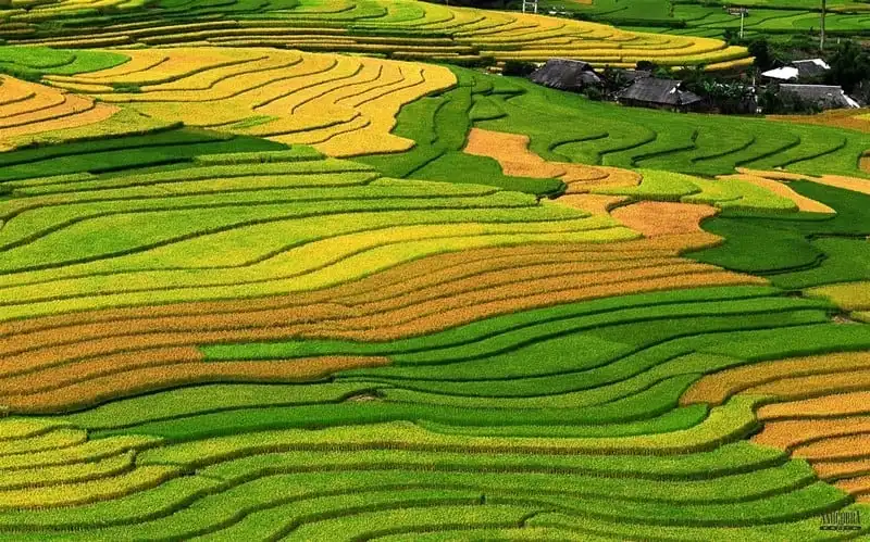 wanderlust-tip-kinh-nghiem-du-lich-pu-luong-thanh-hoa-4