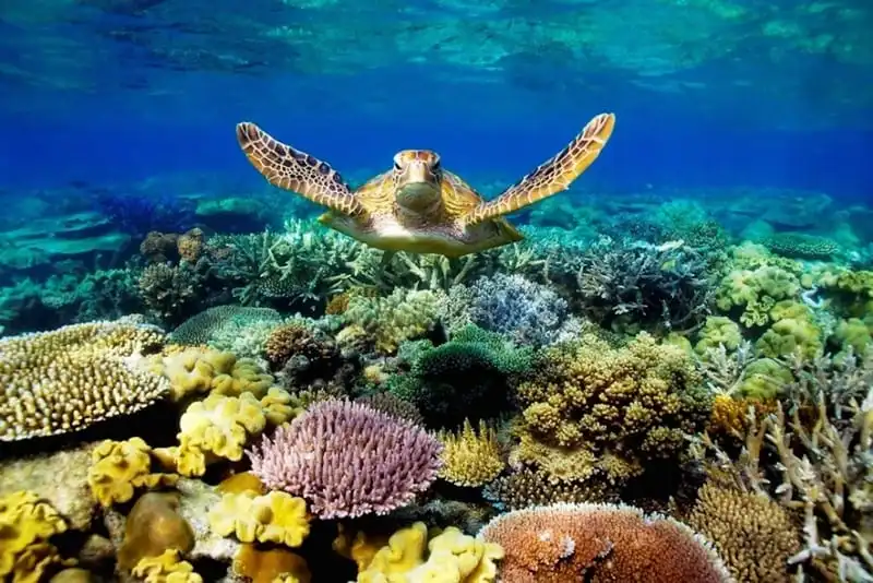 wanderlust-tip-nhung-trai-nghirem-khong-nen-bo-qua-khi-lan-dau-den-tham-con-dao-1