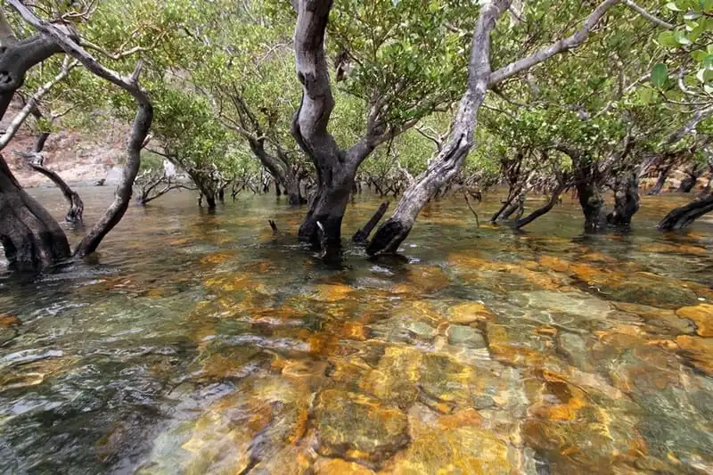 wanderlust-tip-nhung-trai-nghirem-khong-nen-bo-qua-khi-lan-dau-den-tham-con-dao-4