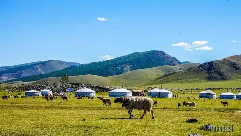 wanderlust-tips-12-ngay-road-trip-sa-mac-lanh-gobi1011