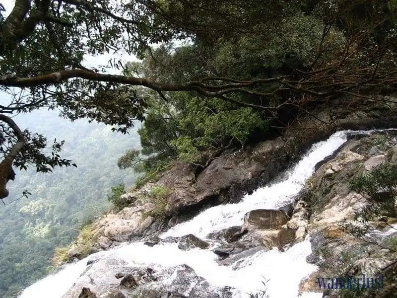 wanderlust-tips-8-diem-tham-quan-khong-the-bo-qua-tai-Hue-vao-buoi-sang1