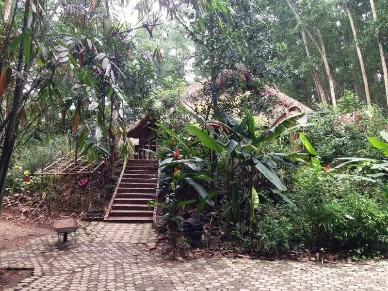 wanderlust-tips-khu-du-lich-sinh-thai-thai-hai-oc-dao-giua-rung-xanh-thai-nguyen-4