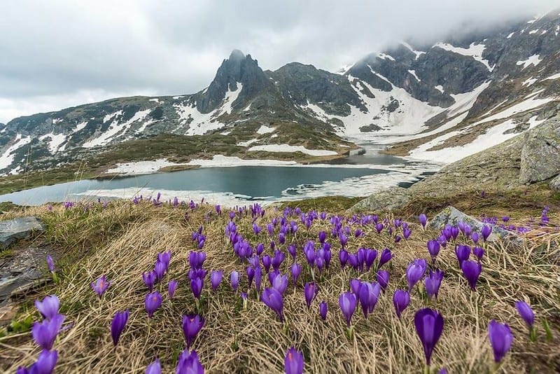 Thiên nhiên hoang dã đầy ấn tượng ở xứ sở hoa hồng Bulgaria