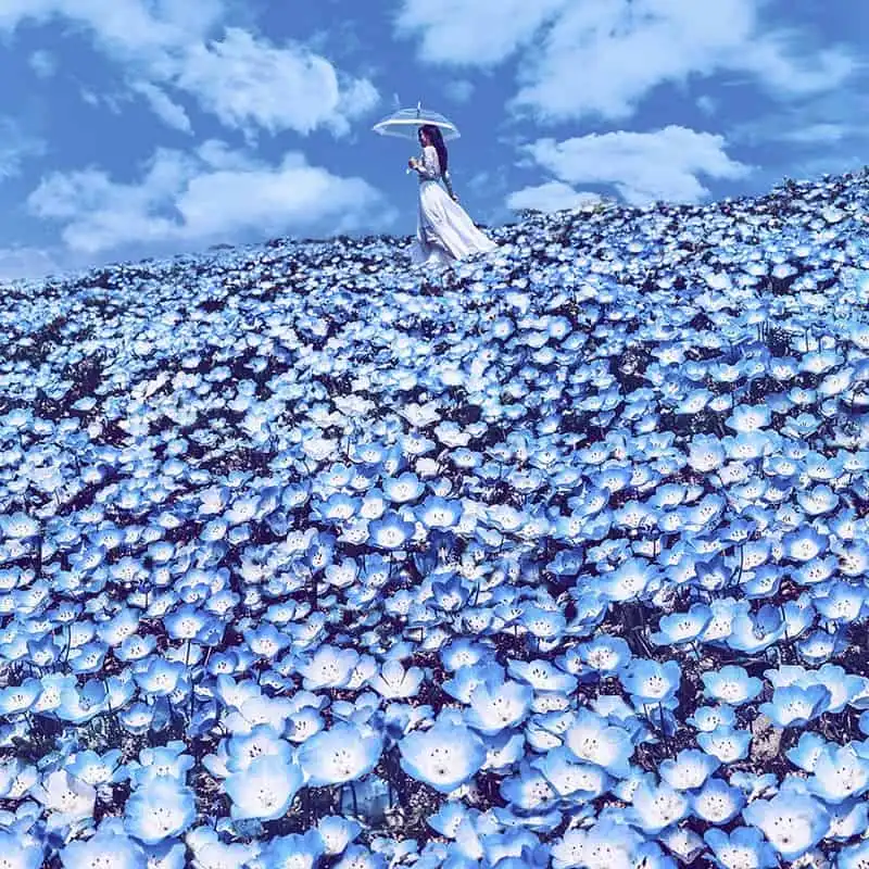 wanderlust tip bo anh tuyet dep khien ban muon den nhat ban check luon va ngay 2