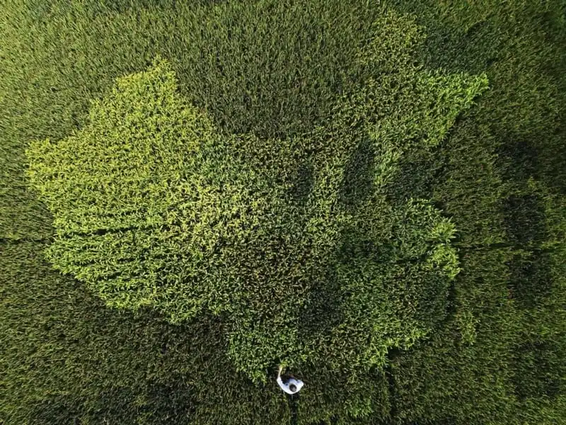wanderlust-tip-choang-ngop-voi-hinh-anh-trung-quoc-rong-lon-nhin-tu-tren-cao-1