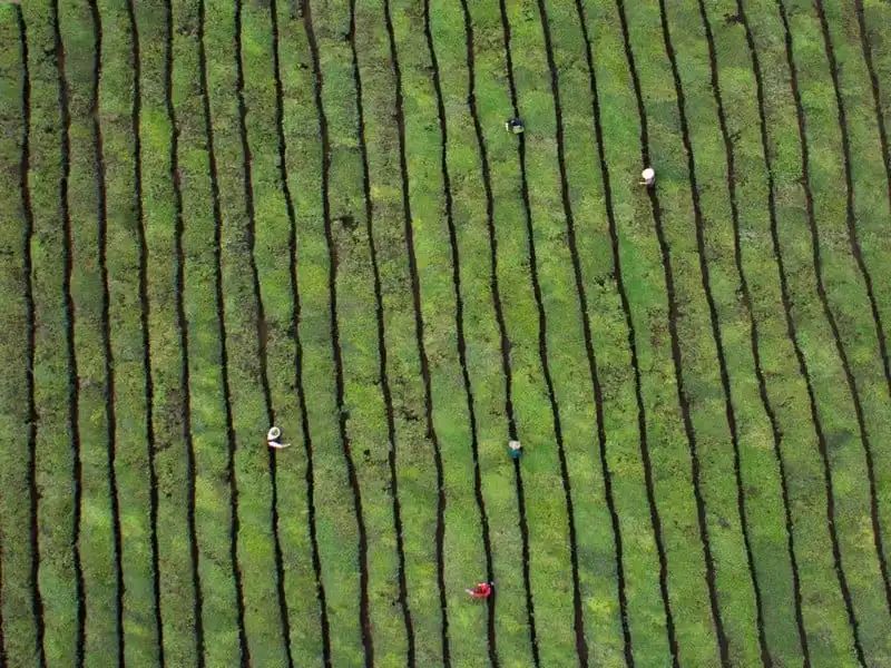 wanderlust-tip-choang-ngop-voi-hinh-anh-trung-quoc-rong-lon-nhin-tu-tren-cao-13