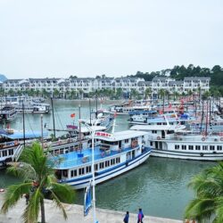 wanderlust tip dinh chi hoat dong nhieu tau du lich tren vinh ha long 2