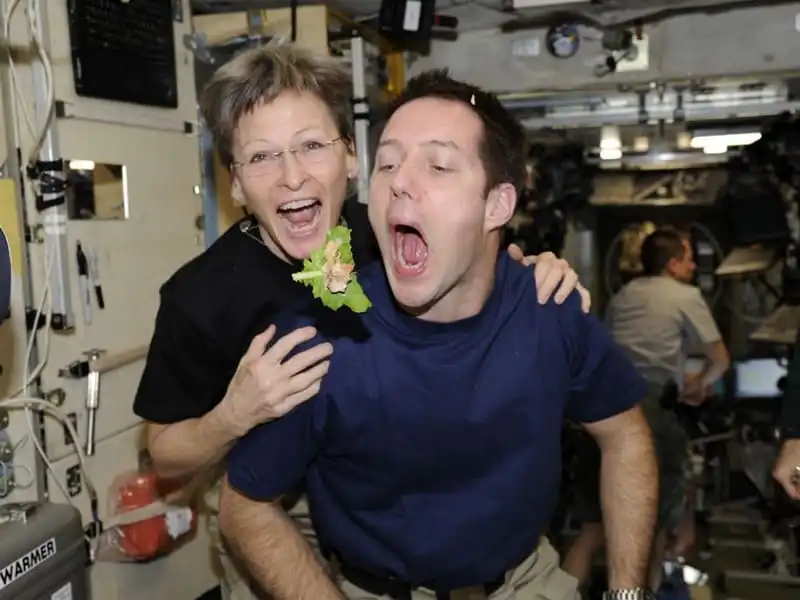 wanderlust-tip-kham-pha-cuoc-song-thuong-ngay-cua-cac-phi-hanh-gia-trong-vu-tru-3