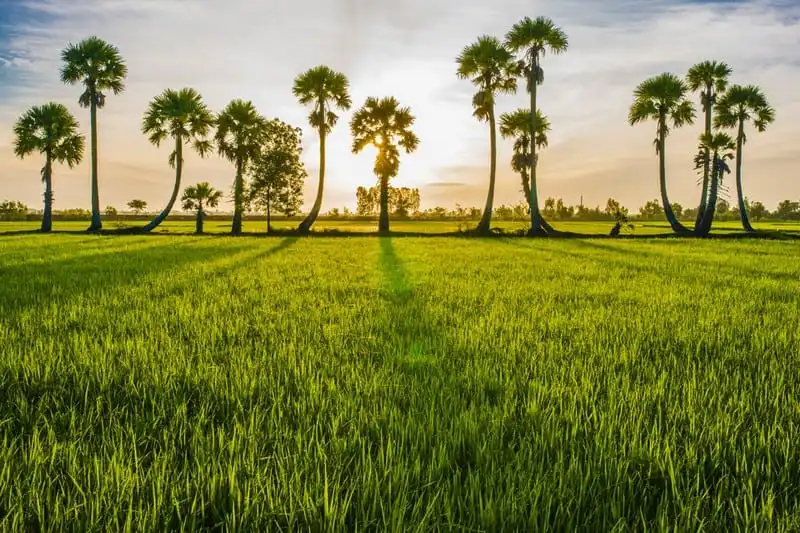 wanderlust tip lac buoc vao xu so thot not o vung dat tinh bien an giang 1