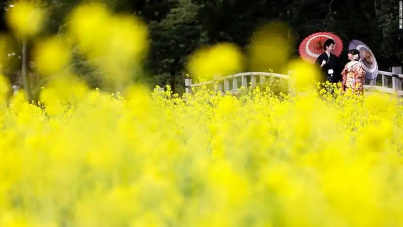 wanderlust-tip-ngo-ngang-chiem-nguong-nhung-buc-anh-du-lich-dep-nhat-the-gioi-14