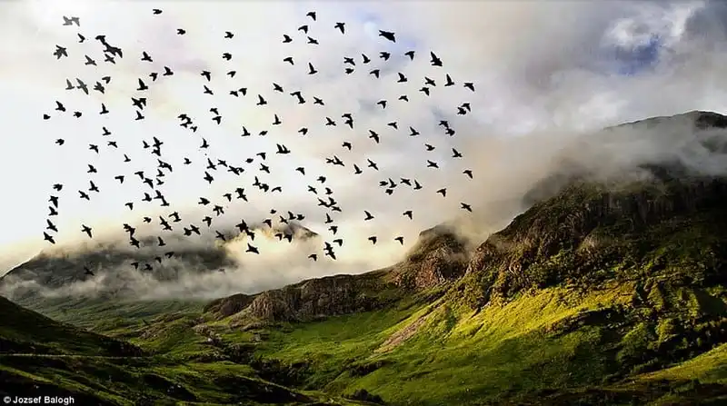 wanderlust-tip-nhung-buc-hinh-xuat-sac-ve-gioi-tuoi-dep-cua-chung-ta-7