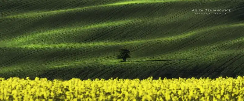 wanderlust-tip-phong-canh-thien-nhien-dep-nhu-tranh-son-dau-o-czech-11