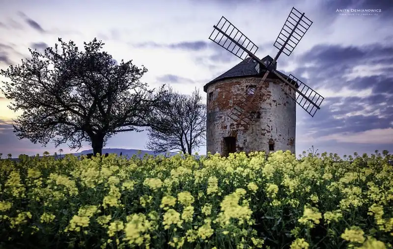 wanderlust-tip-phong-canh-thien-nhien-dep-nhu-tranh-son-dau-o-czech-13