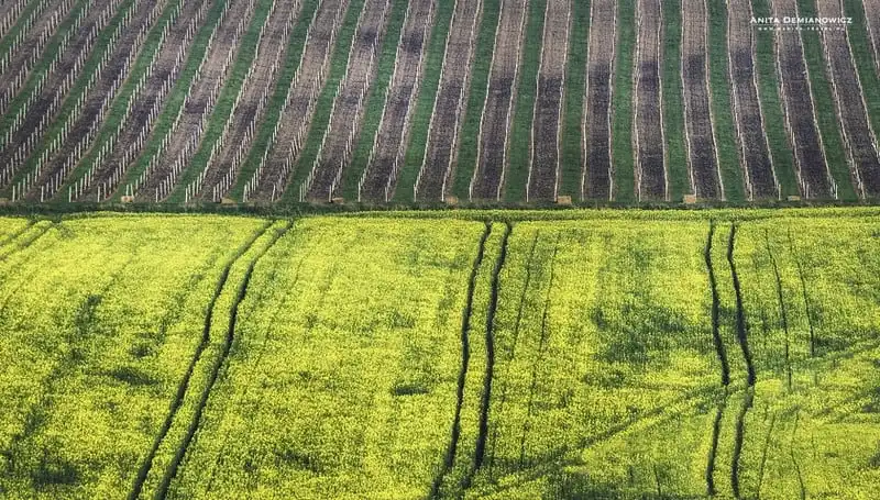 wanderlust-tip-phong-canh-thien-nhien-dep-nhu-tranh-son-dau-o-czech-17