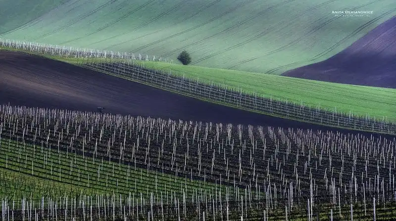 wanderlust-tip-phong-canh-thien-nhien-dep-nhu-tranh-son-dau-o-czech-4