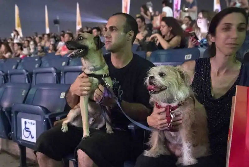 Thành phố Tel Aviv - Thiên đường của những chú chó 6 wanderlust-tip-tel-aviv-thanh-pho-thien-duong-cua-nhung-chu-cho-4