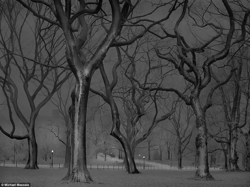 wanderlust-tip-ve-dep-khac-la-vao-ban-dem-cua-cong-vien-central-park-11