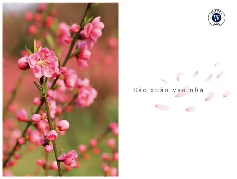 wanderlust-tip-wanderlusttips-so-thang-12016-hanh-trinh-mua-xuan-3