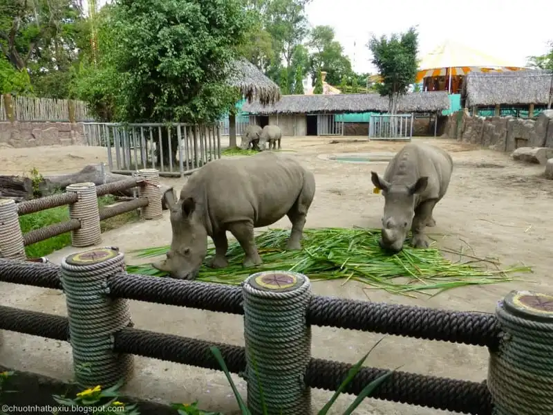 8 điểm tham quan không thể bỏ qua tại TPHCM vào buổi chiều 12 wanderlust-tips-8-diem-tham-quan-khong-the-bo-qua-tai-tphcm-vao-buoi-chieu8