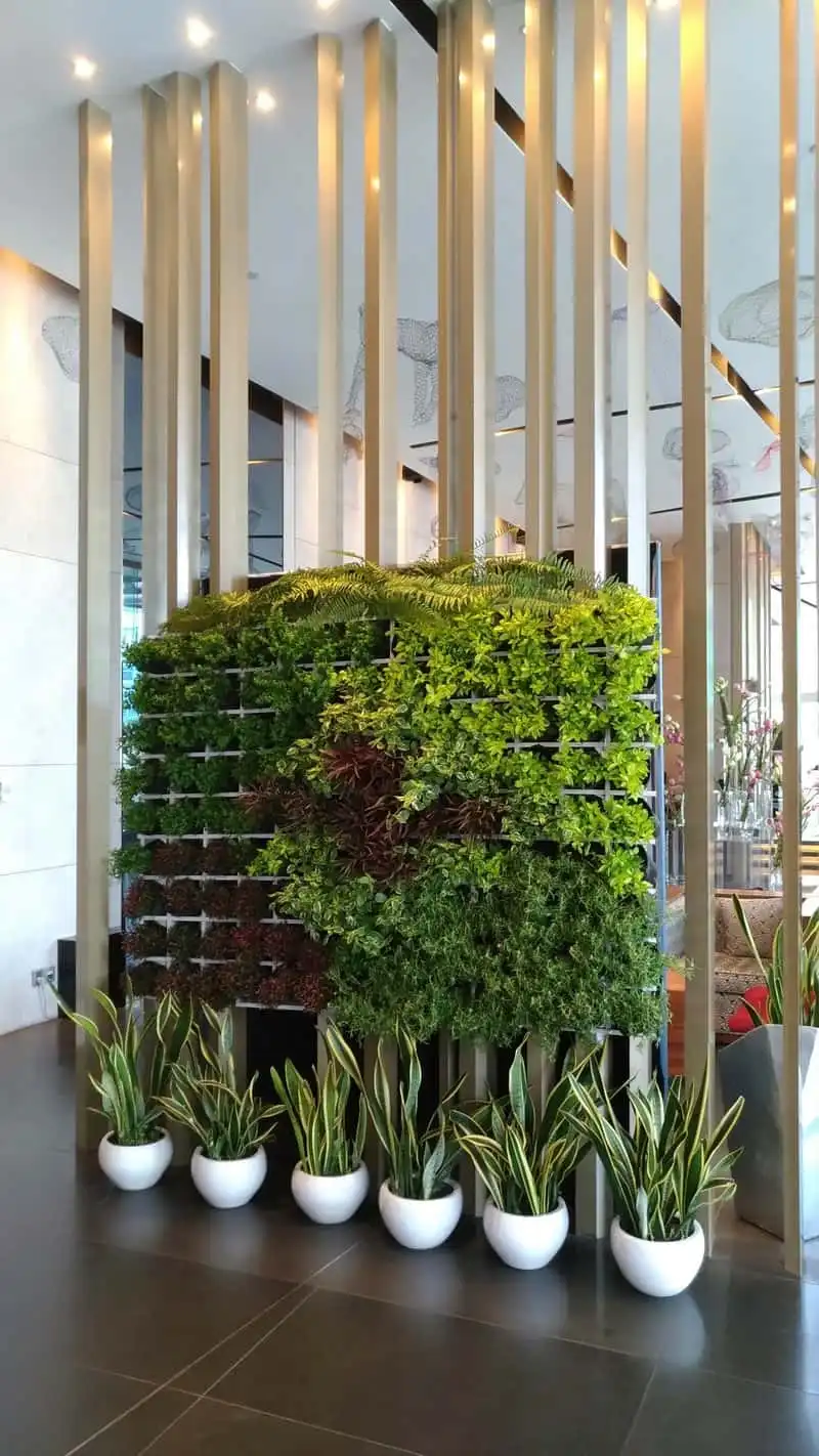 AccorHotels hành động vì một thế giới xanh 6 wanderlust-tips-accorhotels-hanh-dong-vi-mot-gioi-xanh-4